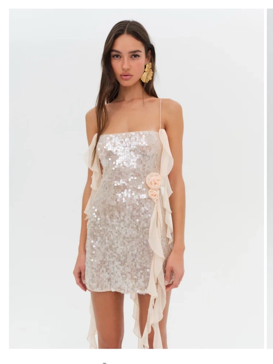 For Love And Lemons Dresses & Skirts - For Love And Lemons Blush Sequin Ruffle Mini Dress